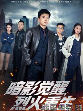 暗影觉醒，烈火重生