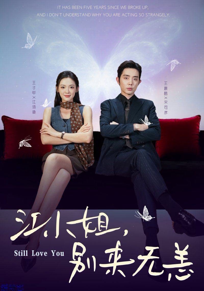 江小姐，别来无恙分手五年，宋先生别纠缠