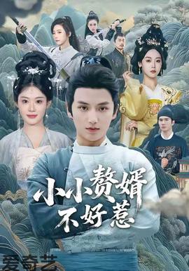 小小赘婿不好惹