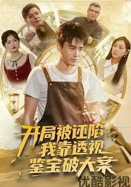 开局被诬陷，我靠透视鉴宝破大案